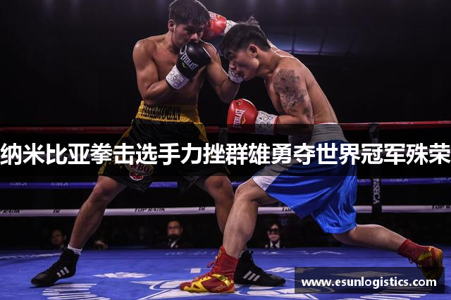 纳米比亚拳击选手力挫群雄勇夺世界冠军殊荣