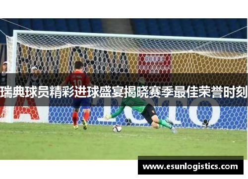 瑞典球员精彩进球盛宴揭晓赛季最佳荣誉时刻