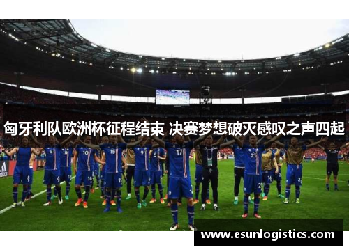 匈牙利队欧洲杯征程结束 决赛梦想破灭感叹之声四起