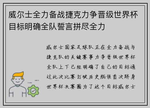 威尔士全力备战捷克力争晋级世界杯目标明确全队誓言拼尽全力